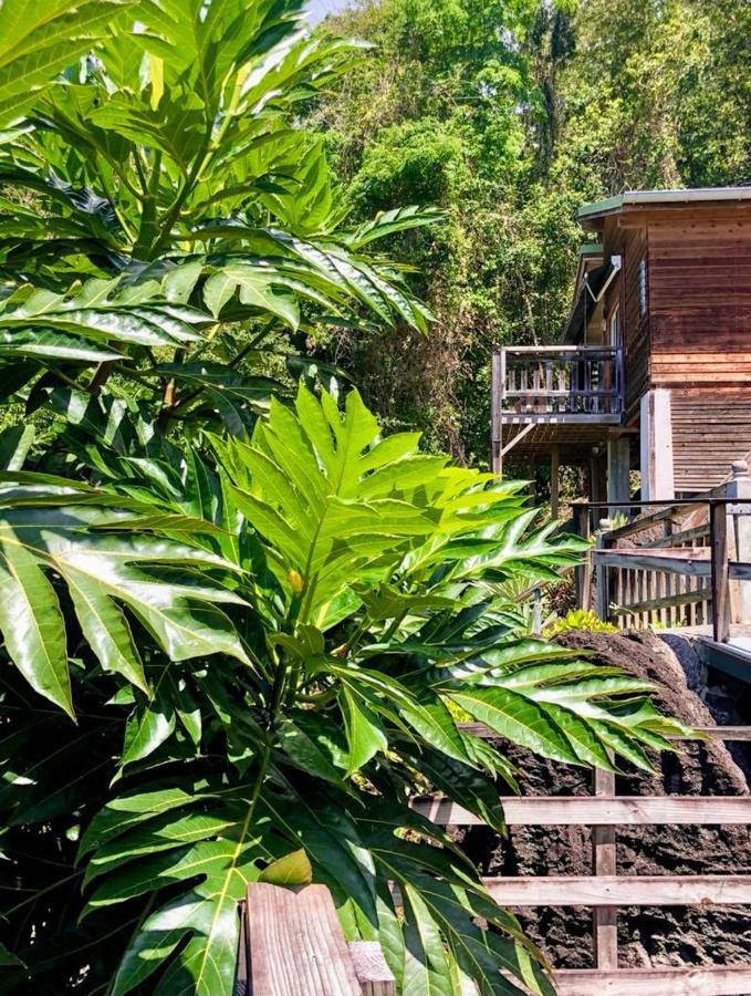 Le Bougainvillier Blanc Otel Pointe-Noire Dış mekan fotoğraf